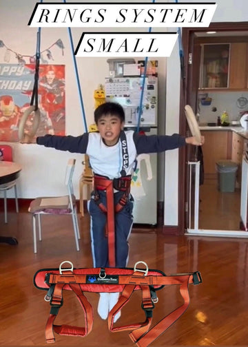 Forza rings 和 backflip 系统小型线束