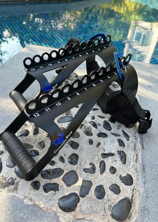 Forza Strength & Flip Duo  $29 할인