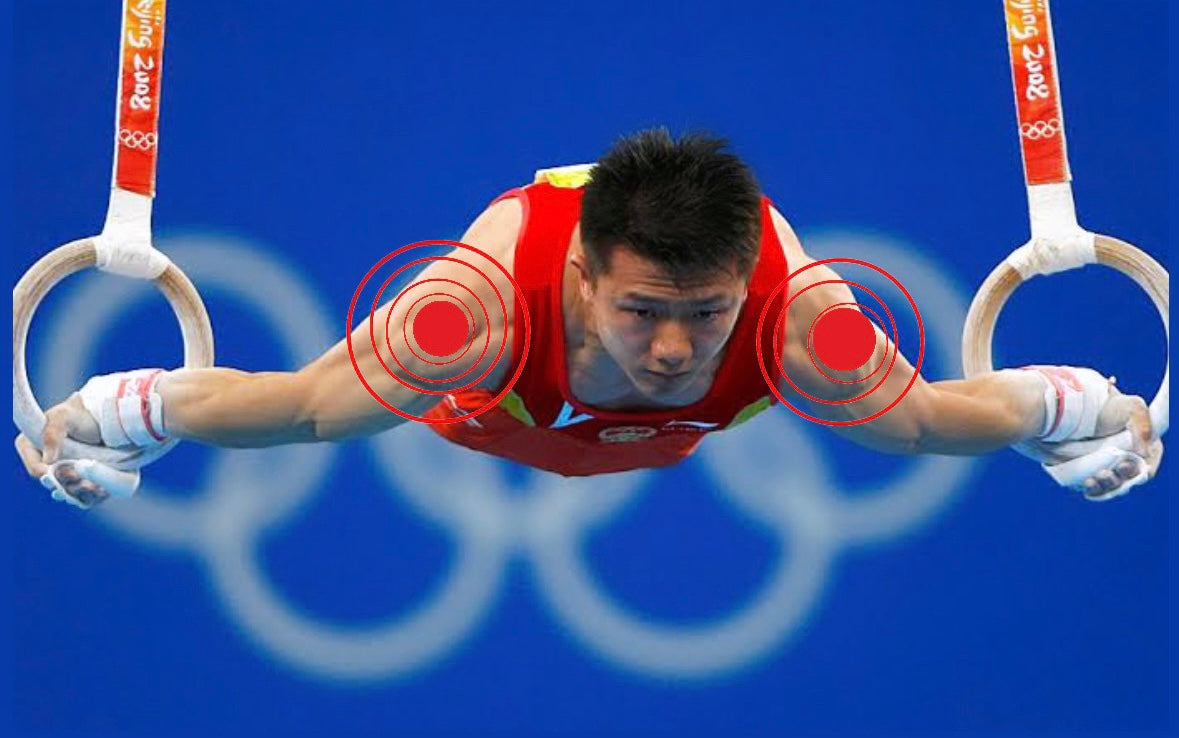 gymnastics forza