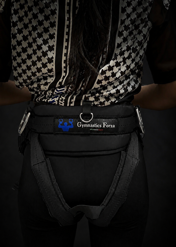 Forza Rings System setup on a pull up bar or ceiling