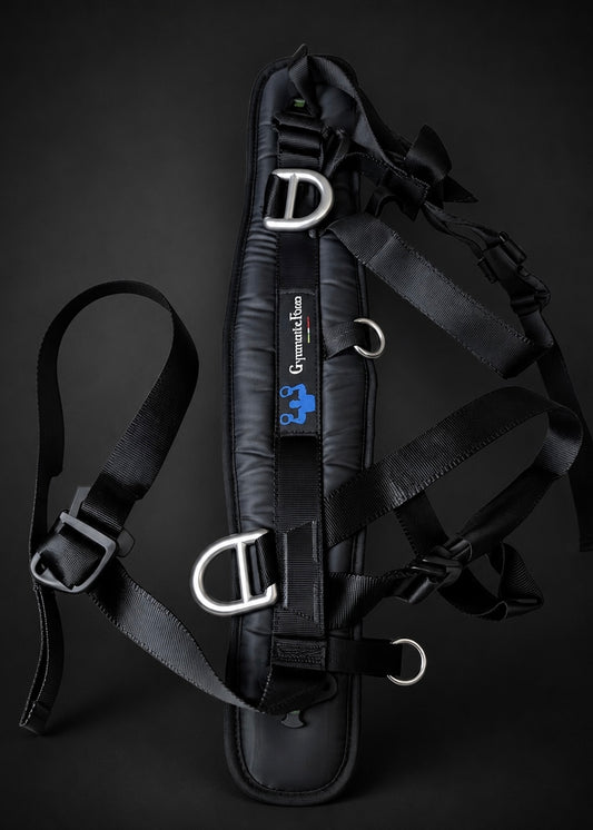 Forza Gymnastics Harness
