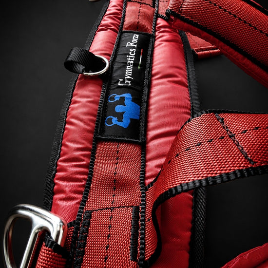 Forza Gymnastics Harness for assisted rings training