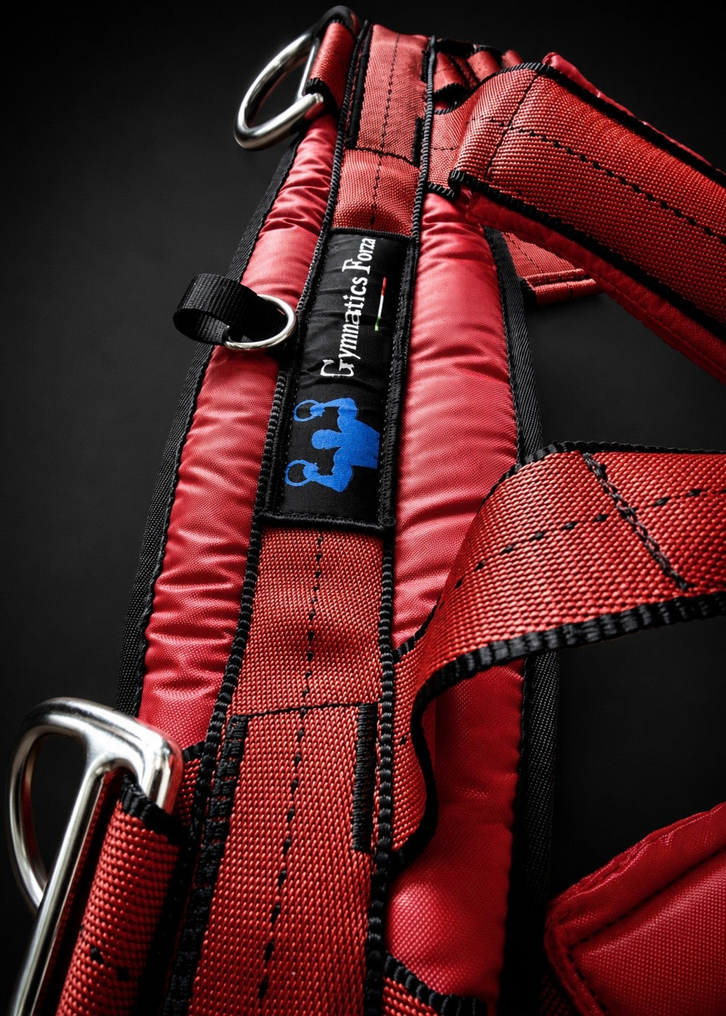 Forza Gymnastics Harness for assisted rings training