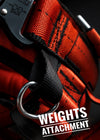 Forza Rings & Backflip System