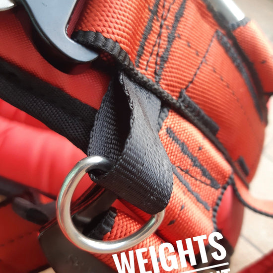 Kid/small red harness — full view