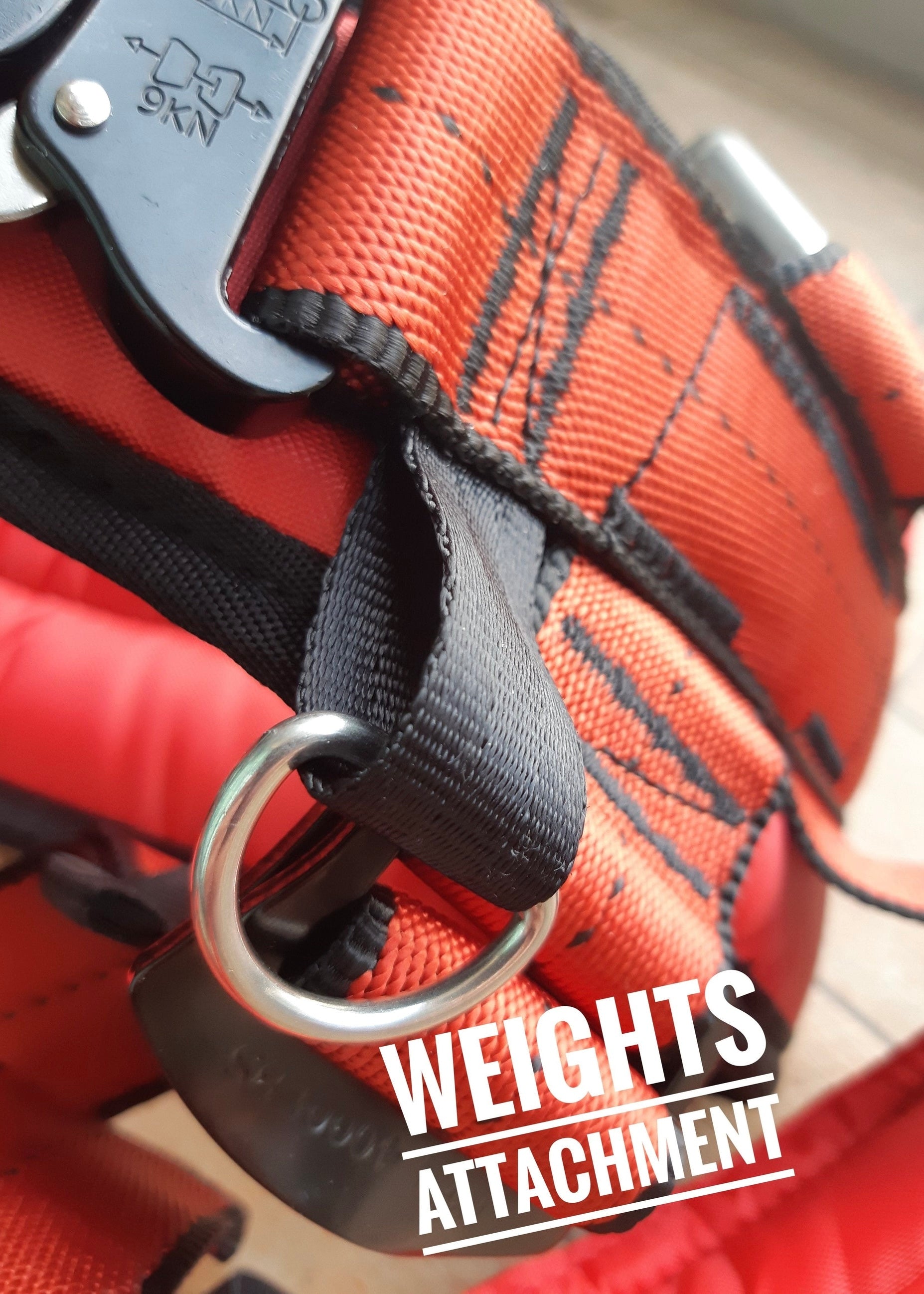 Kid/small red harness — full view