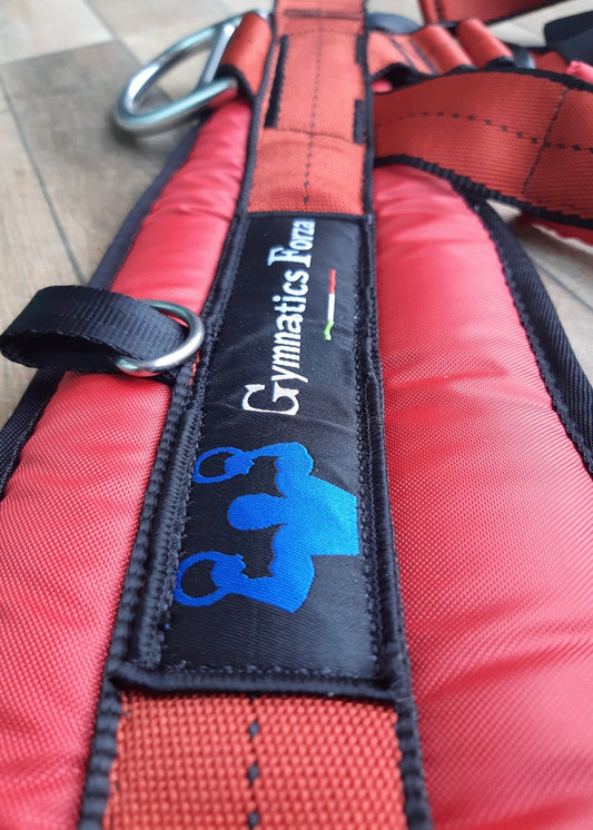 Small Harness: 50-70 cm / 19-27 inches