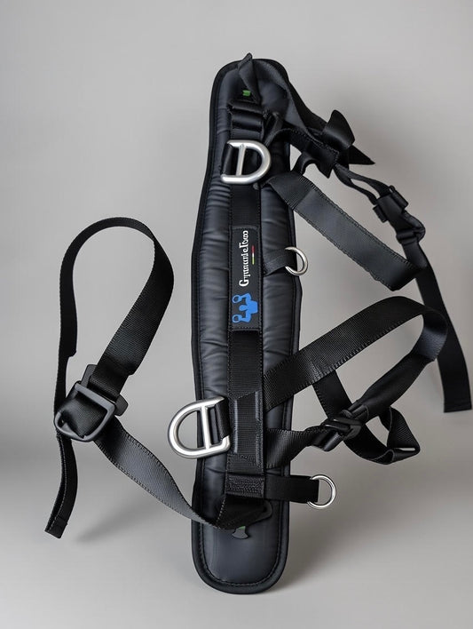 Grande ceinture de harnais : 72-120 cm / 28-47 pouces 