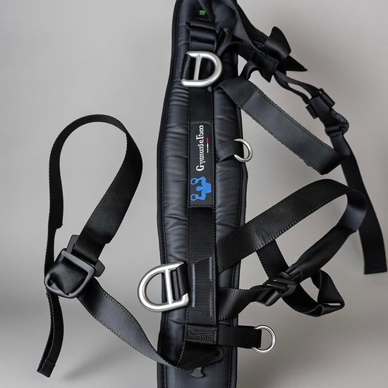 Adult/large harness worn