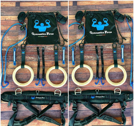 BUNDLE 10 (SAVE 39 USD) Two rings system  large Harness
